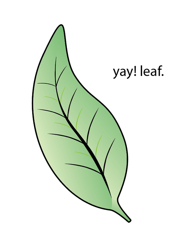 a pretty picture of a leaf