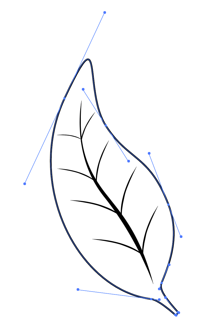 drawing of a leaf